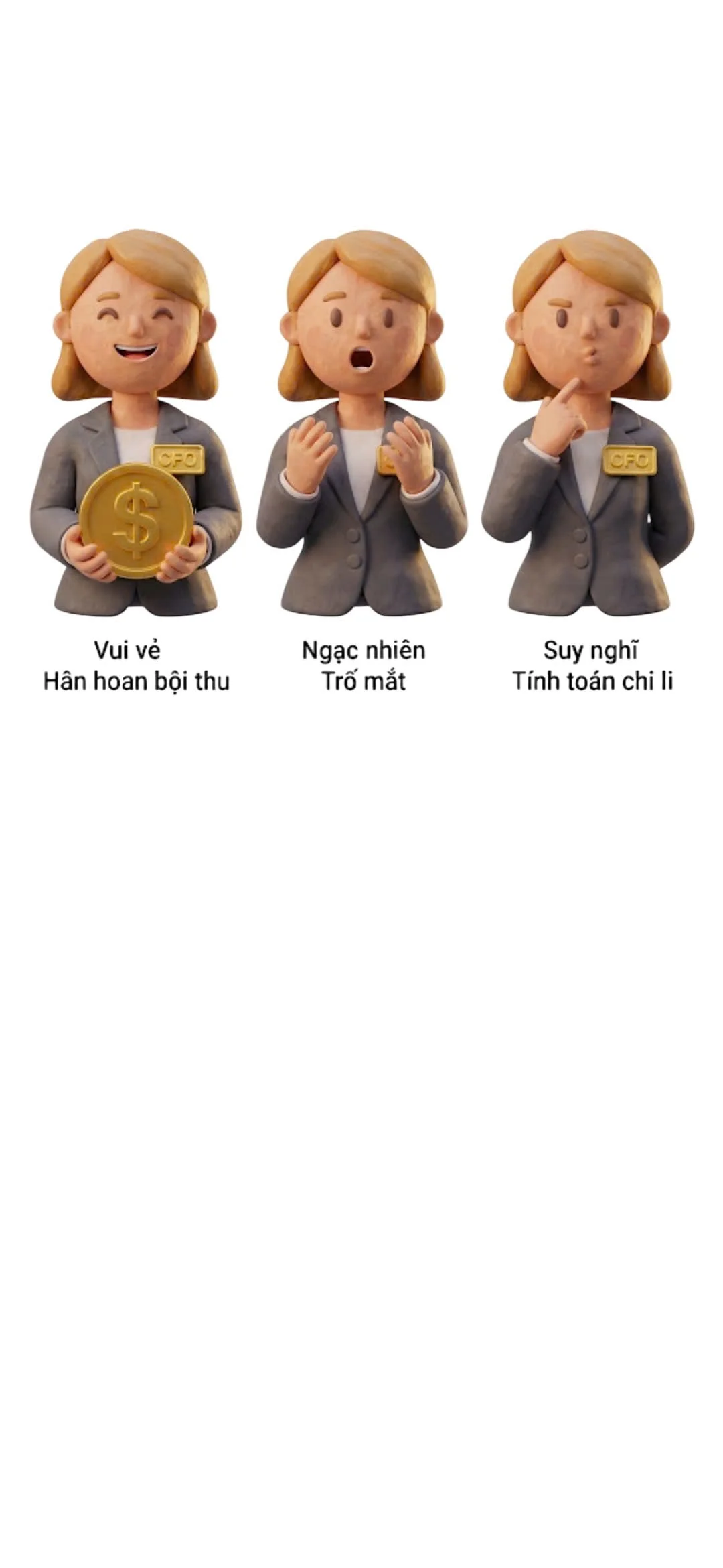 Bảng 3 biểu cảm của CFO